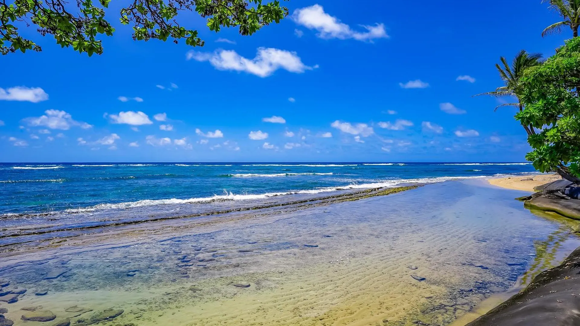 Kauai Kalani Διαμέρισμα Kapa'a